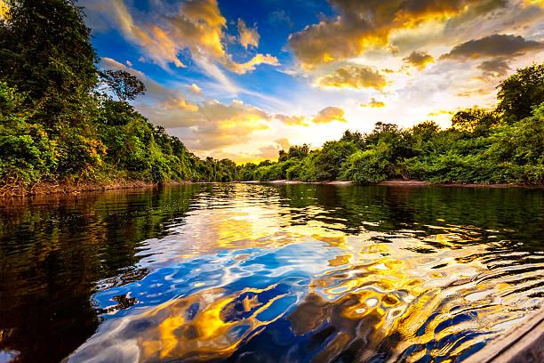 Entorno natural de Venezuela